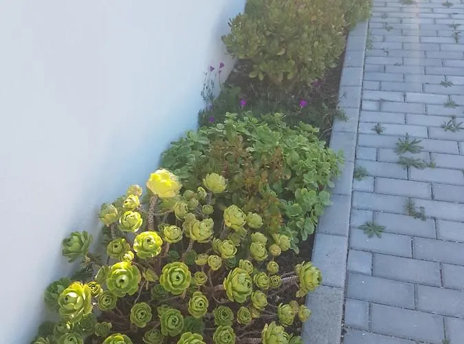 Βίλα Marisol Sunset Charneca (Setubal)