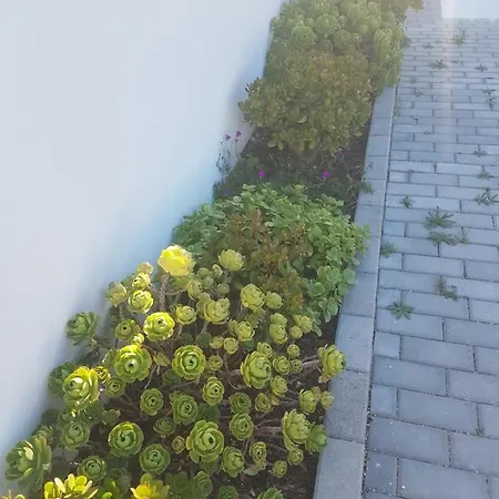 ヴィラ Marisol Sunset シャルネカ